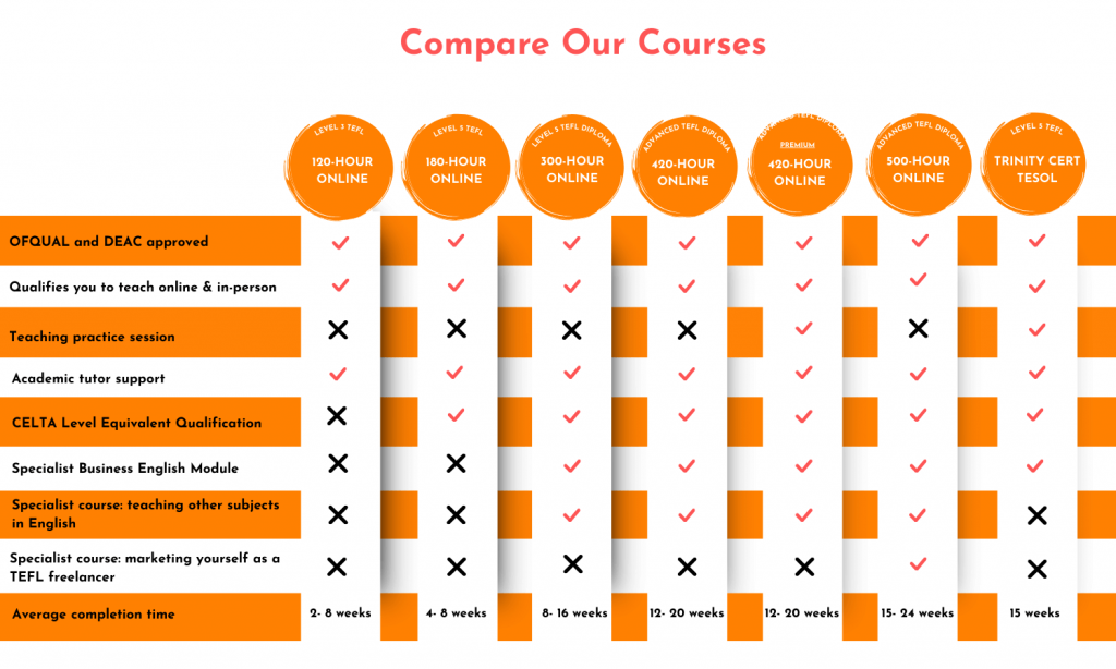 i-to-i TEFL — photo 2